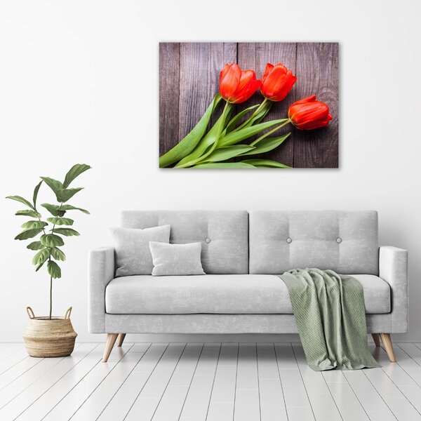 Foto obraz na plátně Červené tulipány oc-137777387