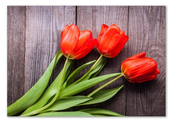 Foto obraz fotografie na skle Červené tulipány osh-137777387