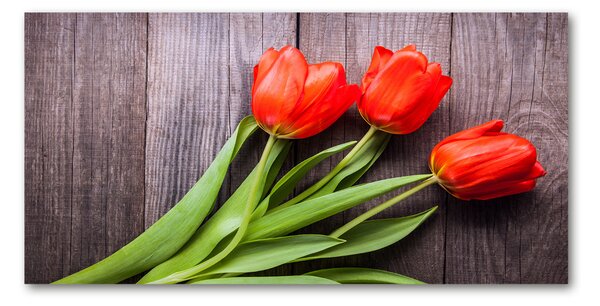 Foto obraz fotografie na skle Červené tulipány osh-137777387