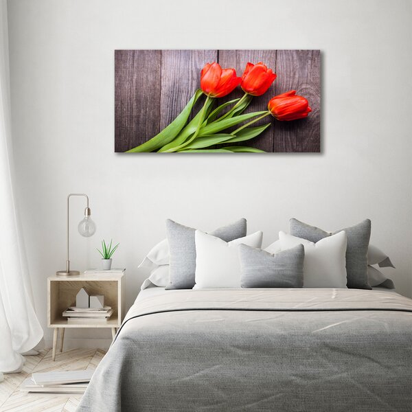 Foto obraz na plátně Červené tulipány oc-137777387