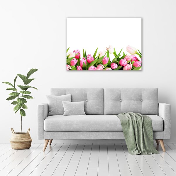 Foto obraz canvas Růžové tulipány oc-138798865