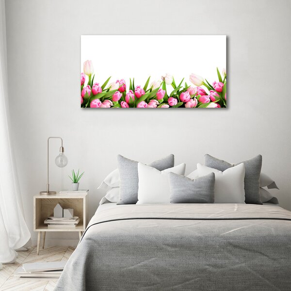 Foto obraz canvas Růžové tulipány oc-138798865