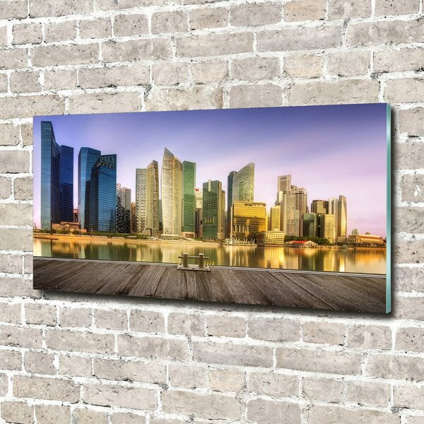 Fotoobraz na skle Singapur osh-139906536