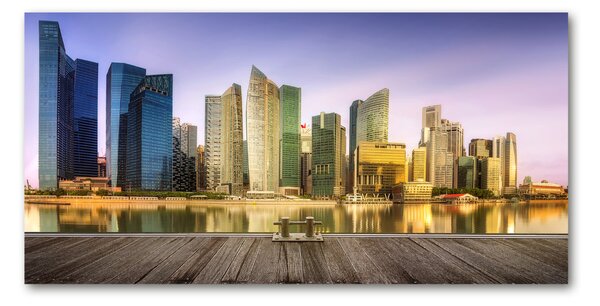 Fotoobraz na skle Singapur osh-139906536