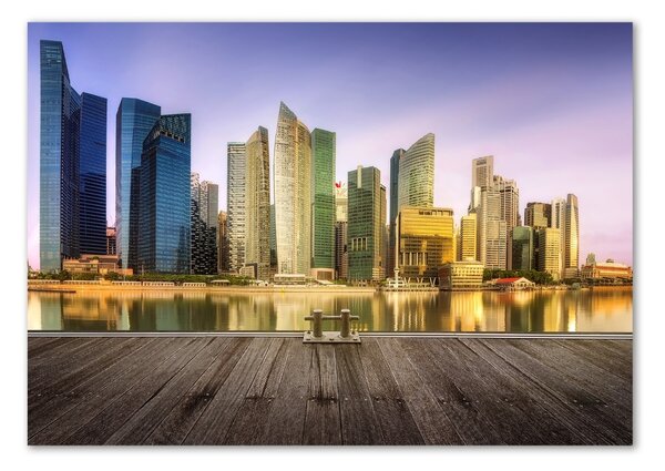 Fotoobraz na skle Singapur osh-139906536