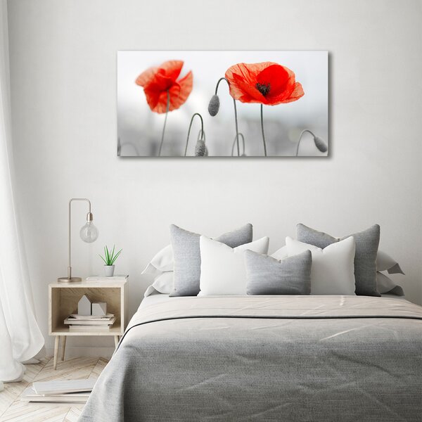 Foto obraz canvas Máky oc-142912559