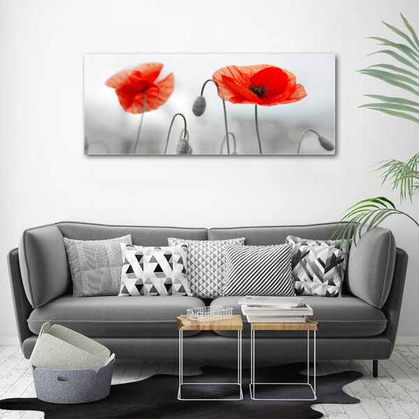 Foto obraz canvas Máky oc-142912559