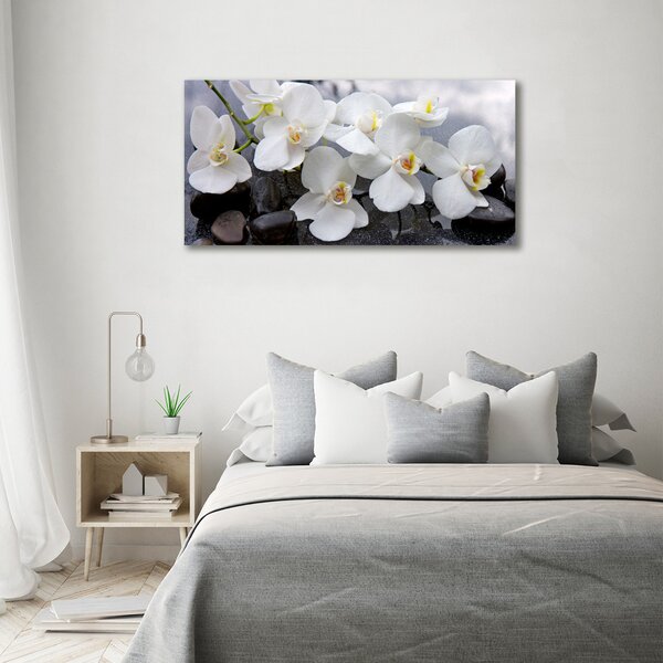 Foto obraz na plátně Orchidej oc-143985624