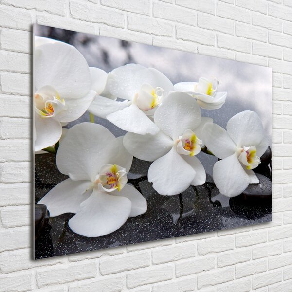 Foto obraz skleněný horizontální Orchidej osh-143985624