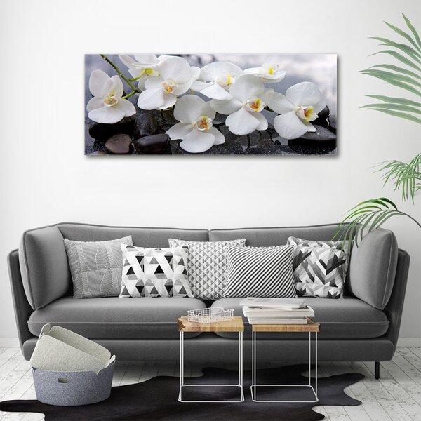 Foto obraz na plátně Orchidej oc-143985624