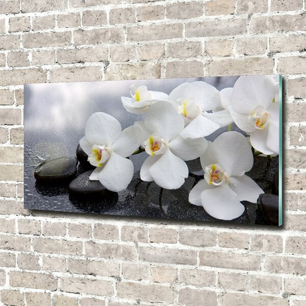 Fotoobraz na skle Orchidej osh-144310520
