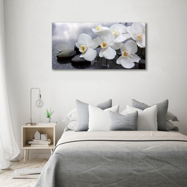 Foto obraz na plátně Orchidej oc-144310520