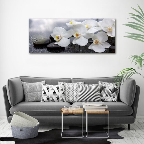 Foto obraz na plátně Orchidej oc-144310520