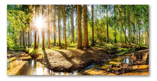 Foto obraz sklo tvrzené Panorama les osh-145813283