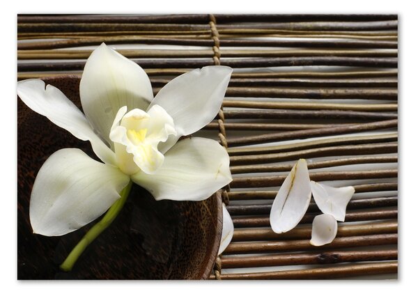 Foto obraz sklo tvrzené Orchidej osh-14760003