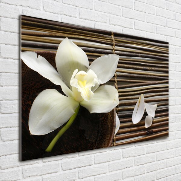 Foto obraz sklo tvrzené Orchidej osh-14760003