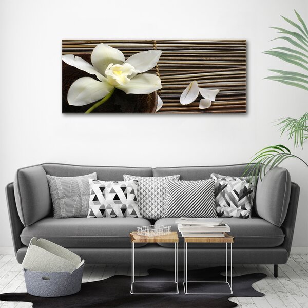 Foto obraz canvas Orchidej oc-14760003