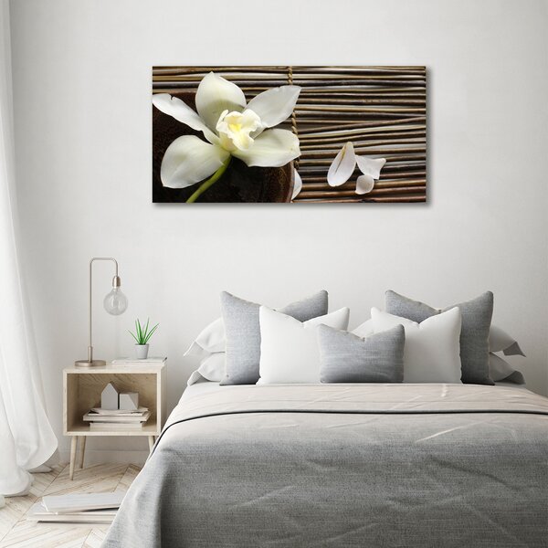 Foto obraz canvas Orchidej oc-14760003