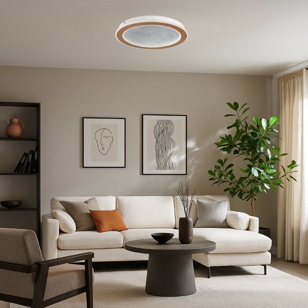 RABALUX 71281 Efrael stropní svítidlo D400mm LED 24W/2600/1700lm 3000-6500K zlatá, průhledná, stmívatelné, dálkový ovladač