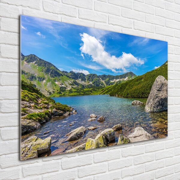 Fotoobraz na skle Údolí Tatry osh-162291569