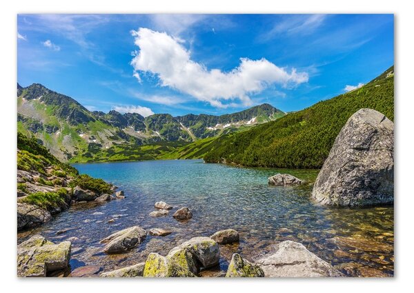 Fotoobraz na skle Údolí Tatry osh-162291569