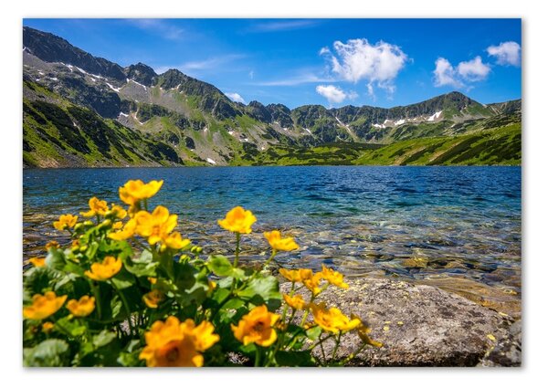 Fotoobraz na skle Jezero v horách osh-162951795