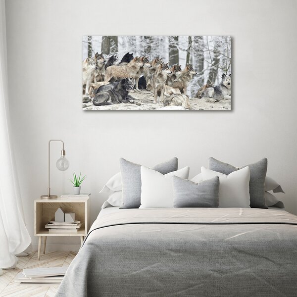 Moderní obraz canvas na rámu Vlci a zima oc-171243935