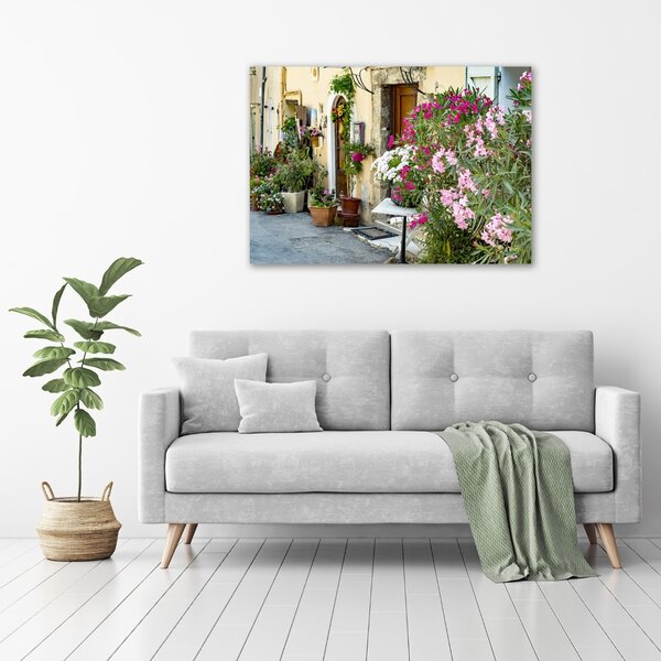 Foto obraz canvas Uličky Francie oc-175586222