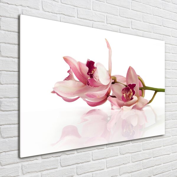 Foto obraz sklo tvrzené Orchidej osh-18886978