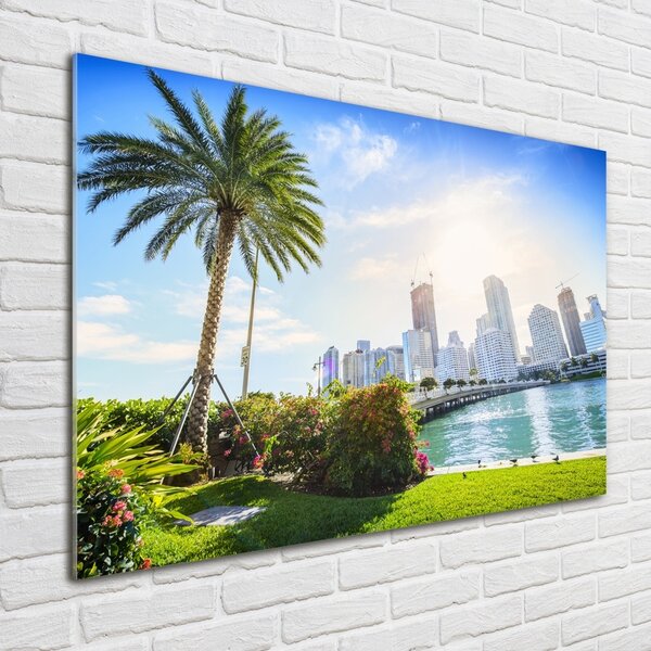 Foto-obraz fotografie na skle Miami USA osh-189099838