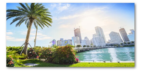 Foto-obraz fotografie na skle Miami USA osh-189099838