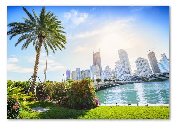 Foto-obraz fotografie na skle Miami USA osh-189099838