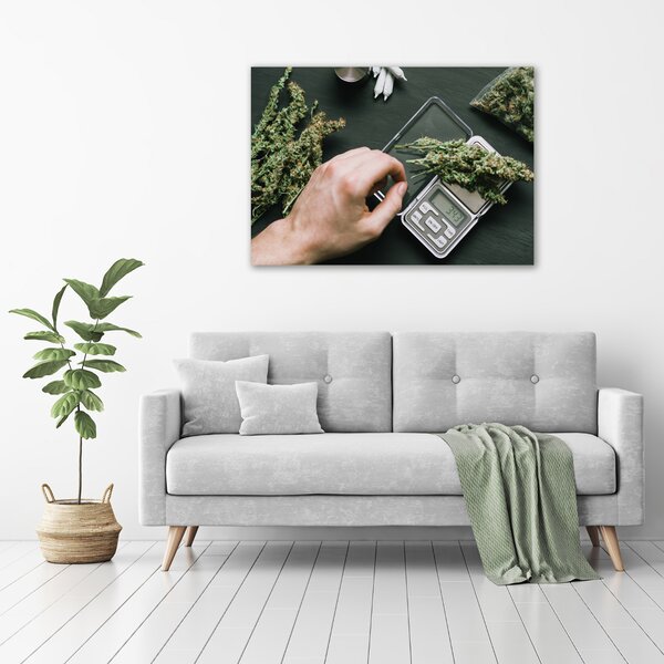 Foto obraz na plátně Marihuana oc-191112467