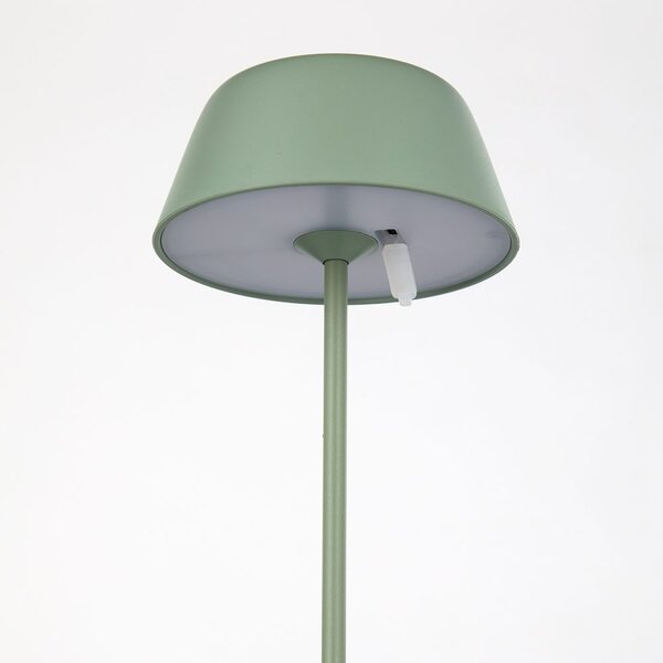 LIGHT UP LED Stolní lampa 27 cm - šalvějová