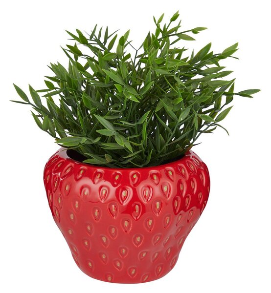 STRAWBERRY Květináč 17 cm