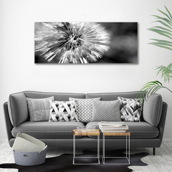 Foto obraz canvas Pampelišky oc-23529298