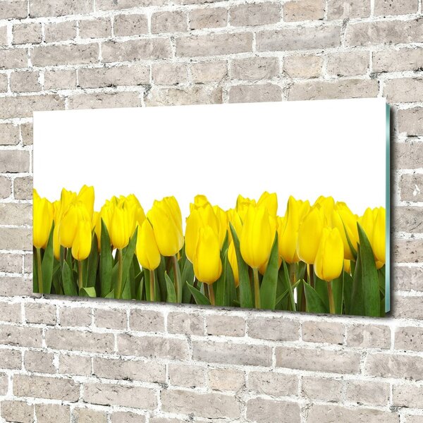 Foto obraz sklo tvrzené Žluté tulipány osh-2665979