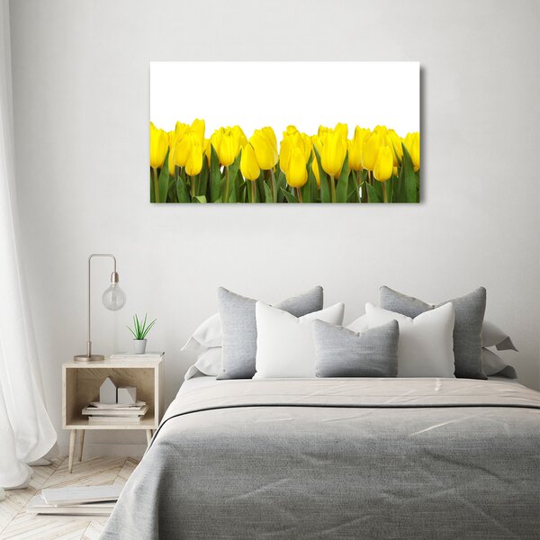 Foto obraz na plátně Žluté tulipány oc-2665979