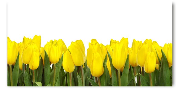 Foto obraz sklo tvrzené Žluté tulipány osh-2665979