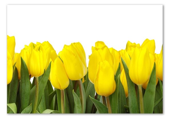 Foto obraz sklo tvrzené Žluté tulipány osh-2665979