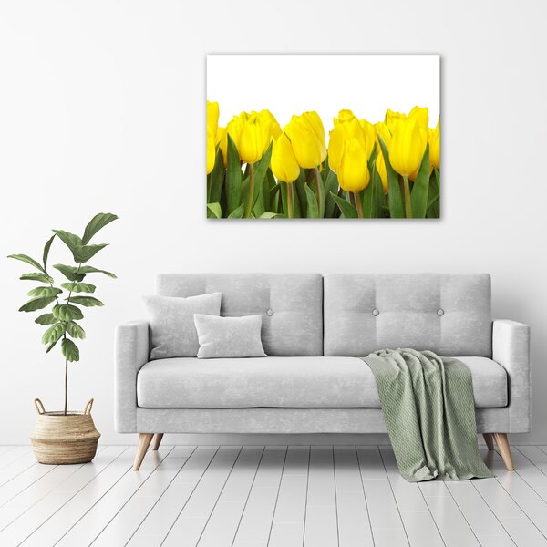 Foto obraz na plátně Žluté tulipány oc-2665979