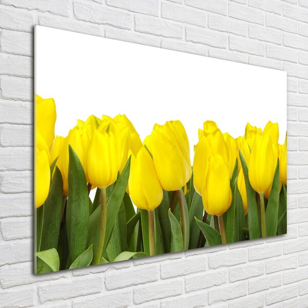 Foto obraz sklo tvrzené Žluté tulipány osh-2665979