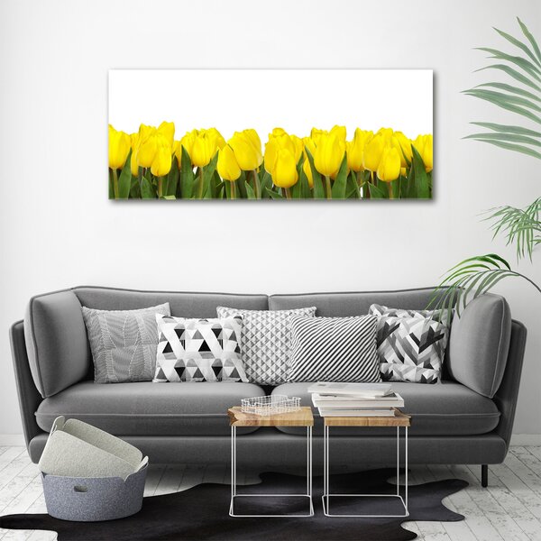 Foto obraz na plátně Žluté tulipány oc-2665979