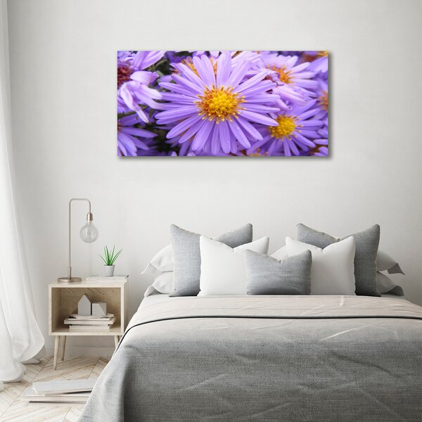 Moderní fotoobraz canvas na rámu Astry oc-26724270