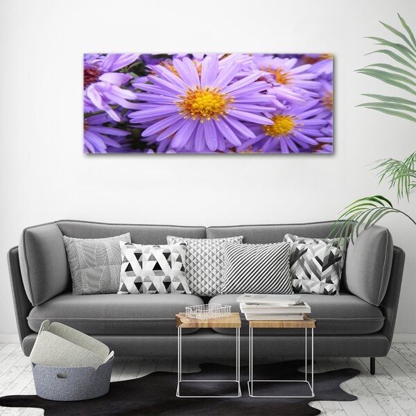 Moderní fotoobraz canvas na rámu Astry oc-26724270