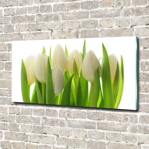 Foto obraz fotografie na skle Tulipány osh-28819889