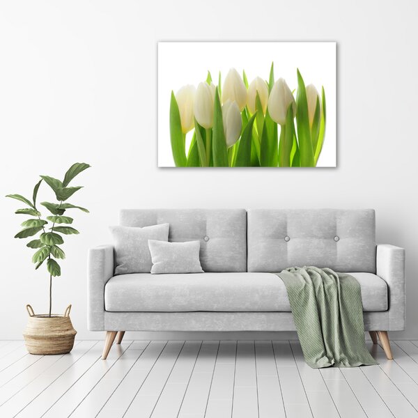 Foto obraz na plátně Tulipány oc-28819889