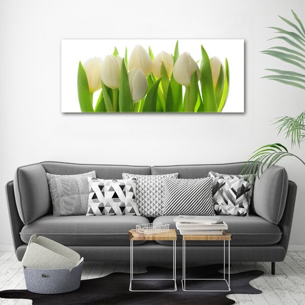 Foto obraz na plátně Tulipány oc-28819889