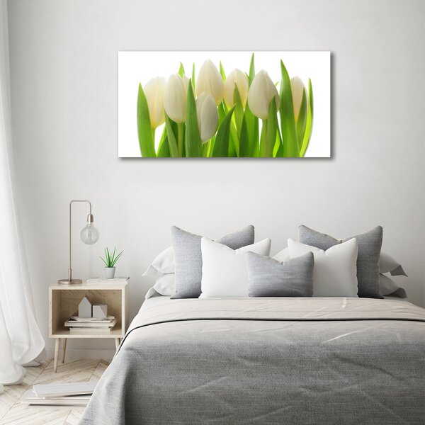 Foto obraz na plátně Tulipány oc-28819889