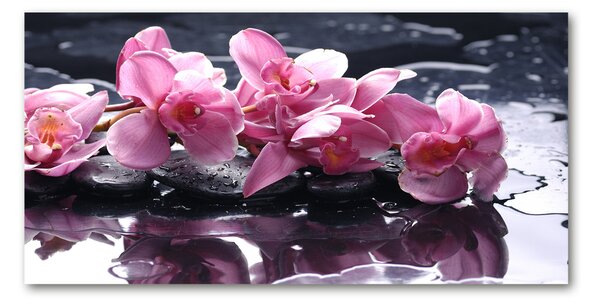 Foto obraz sklo tvrzené Růžová orchidej osh-28903356